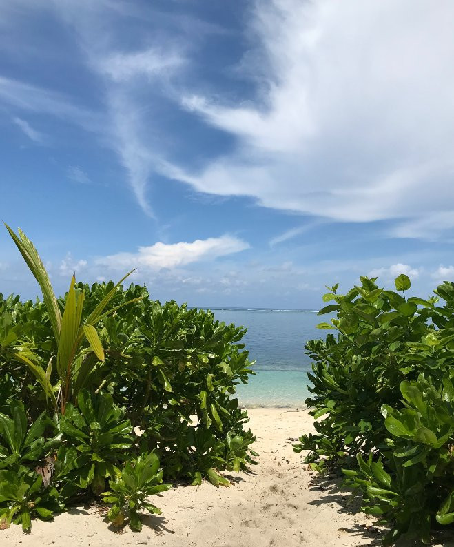 DaRosa Del Mar主图