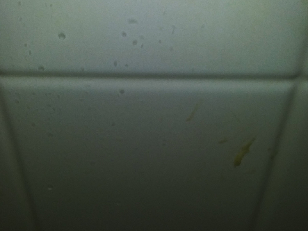 AmericInn by Wyndham Plymouth主图