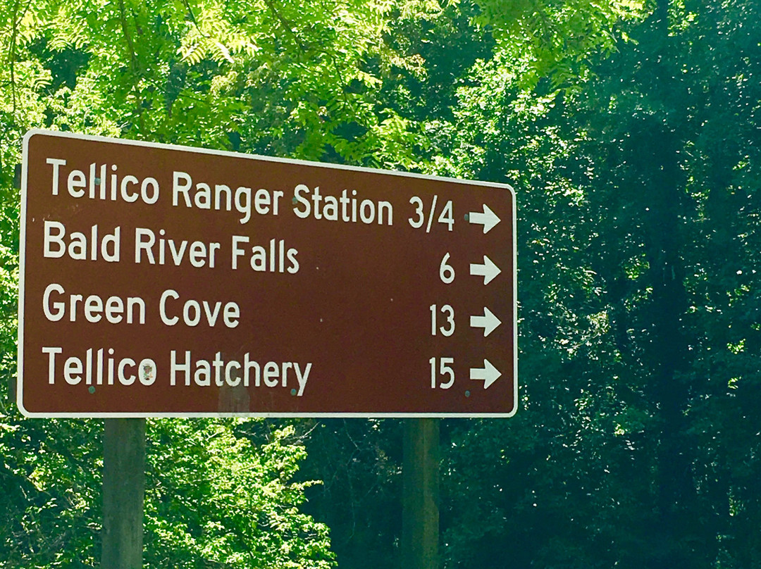 Green Cove Angler Store & Lodge主图