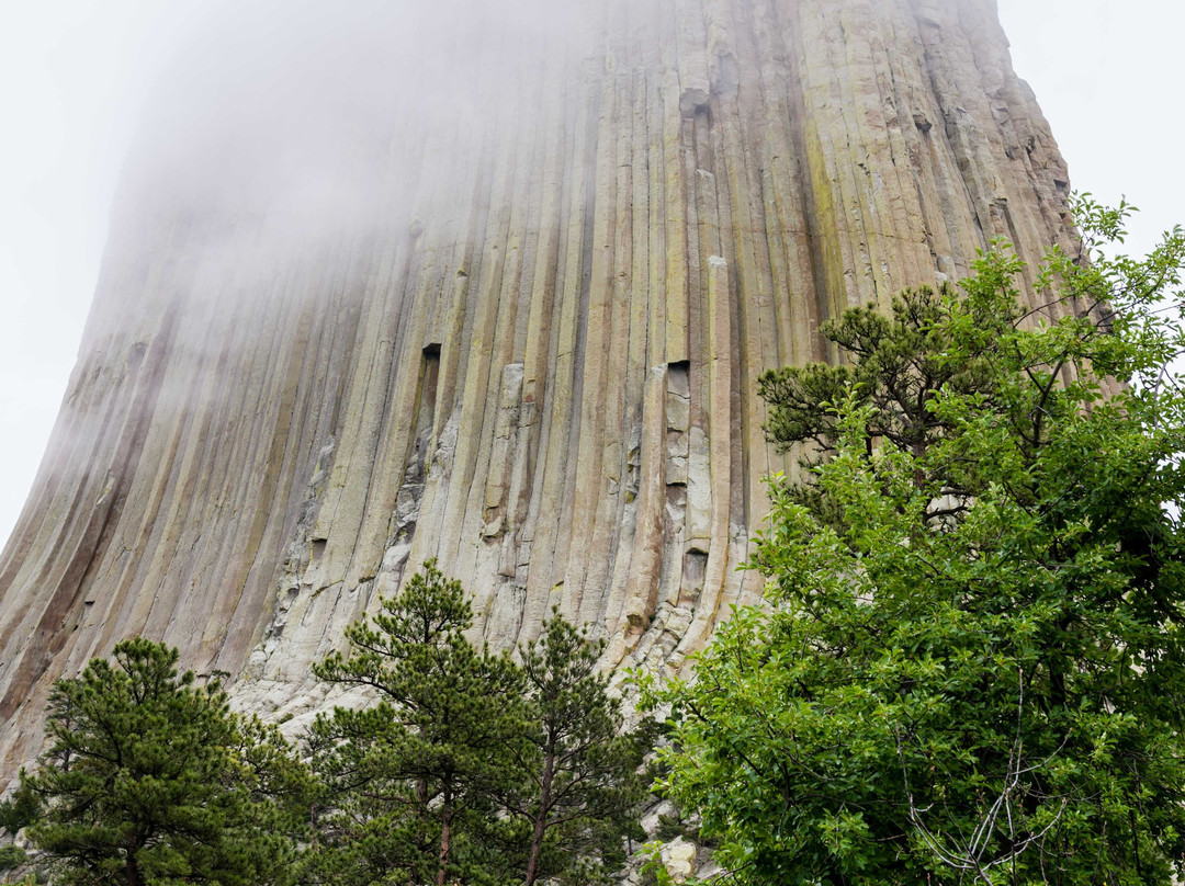 Tower Trail-Devils Tower必去景点