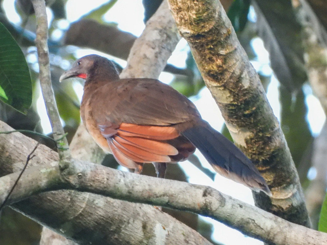 Hotel Mamma e Papa主图