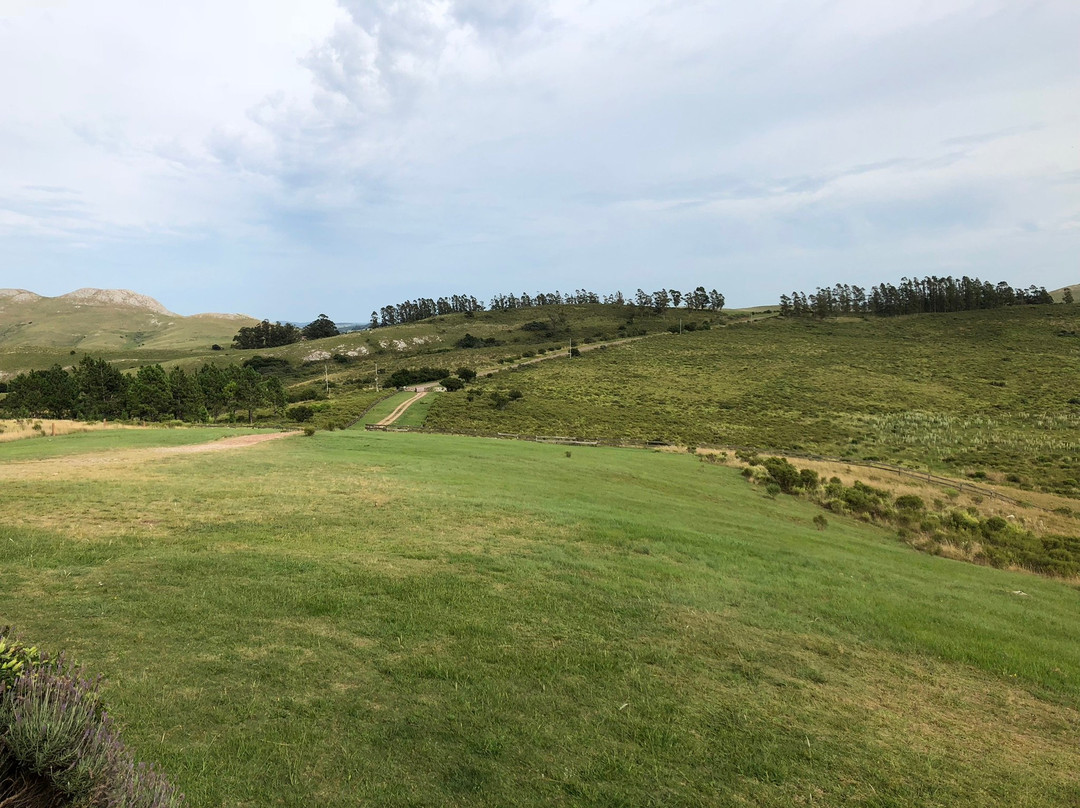 Posada Ecoitay主图