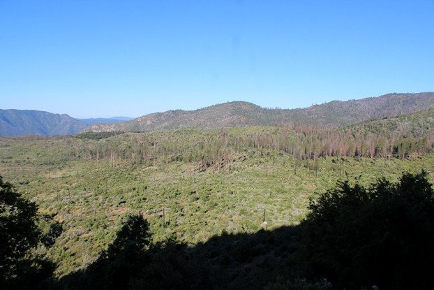 Big Oak Flat Road-格罗夫兰必去景点