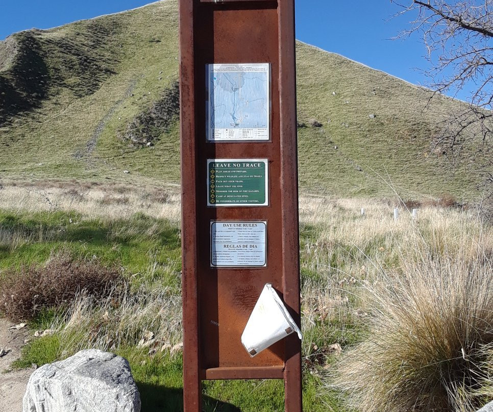 Wind Wolves Preserve-贝克斯菲尔德必去景点