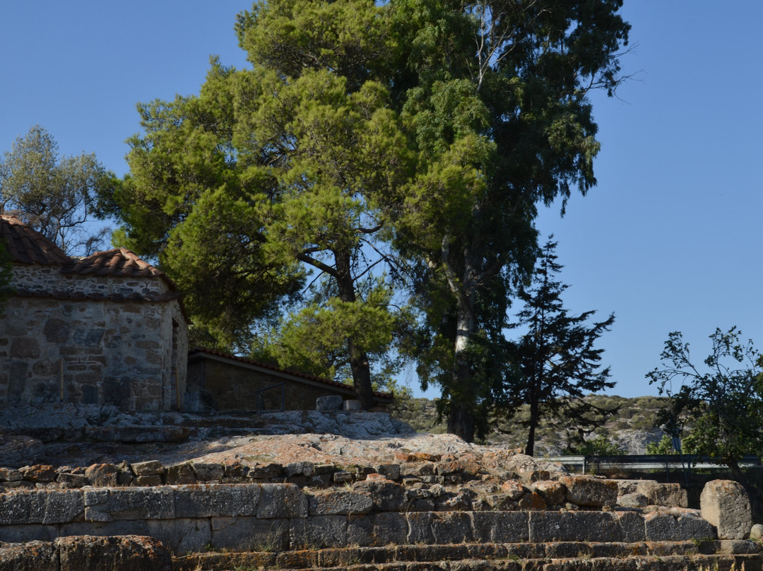Temple of Artemis景点图片
