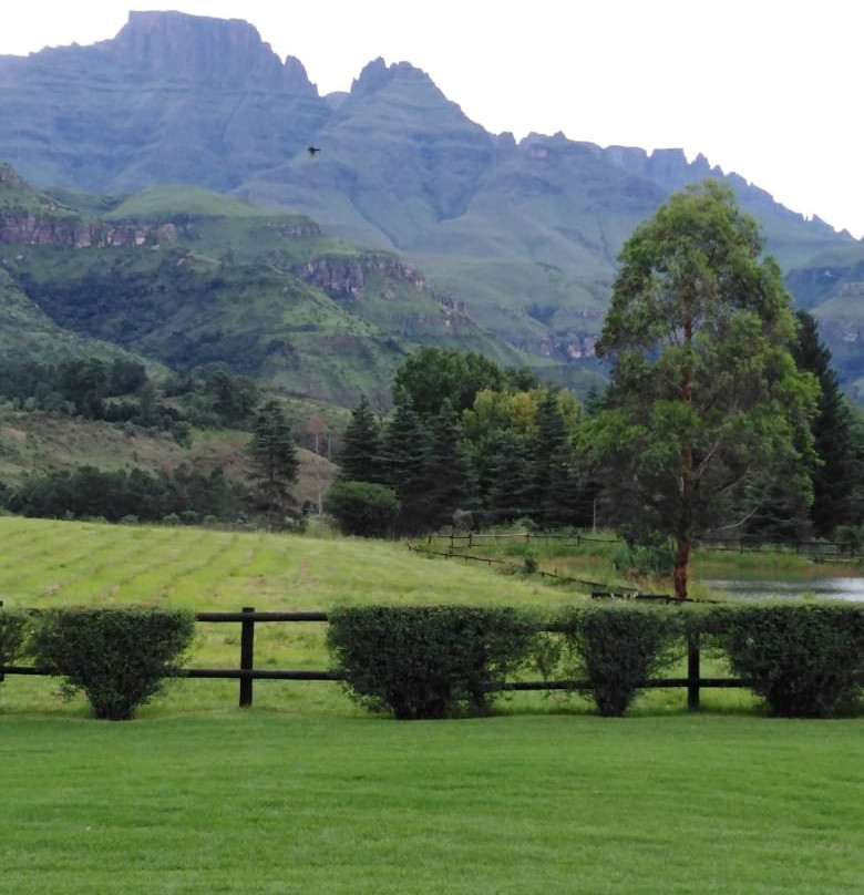 Central Drakensberg Information Centre景点图片