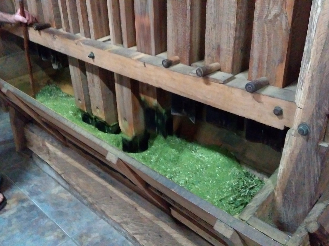 Ervateira Marcon - Natural de Gramado-格拉玛多必去景点