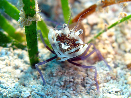 Deco Stop Bar-卡斯必去景点
