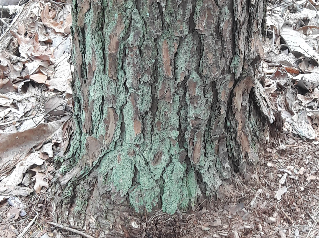 Land Trust of North Alabama-亨茨维尔必去景点