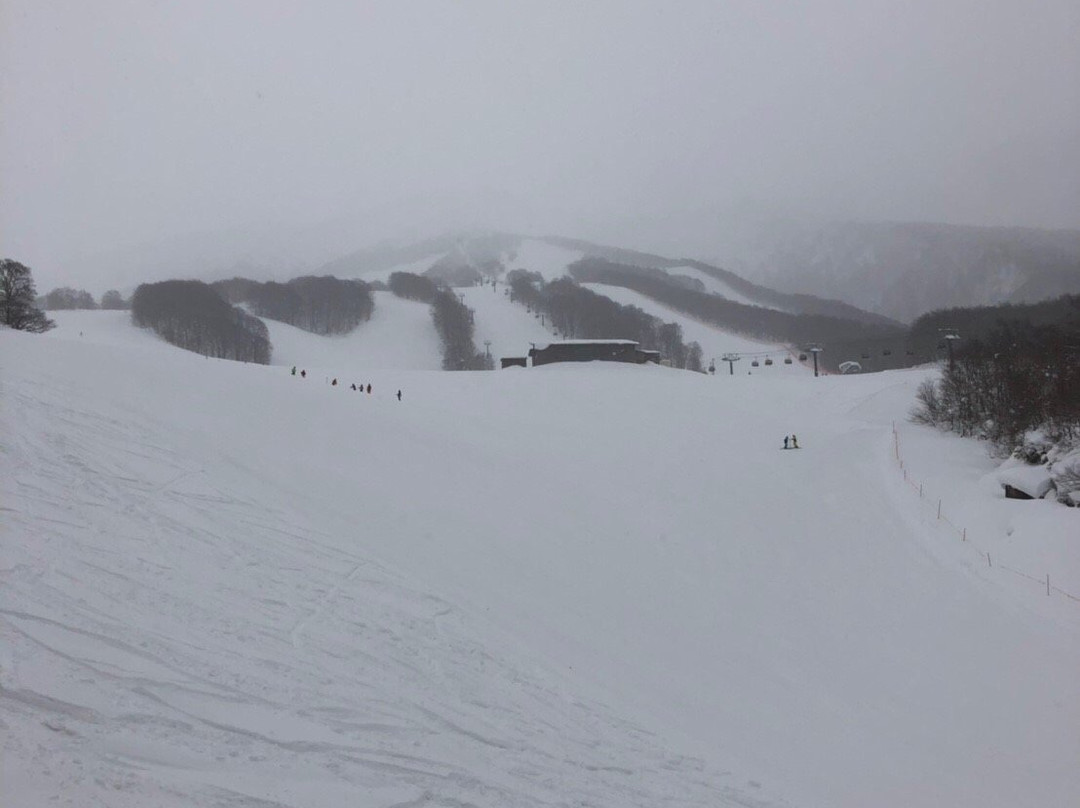 Tazawako Ski Resort-仙北市必去景点
