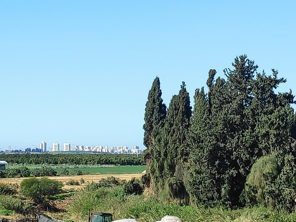 Farm on the Hill-Gedera必去景点