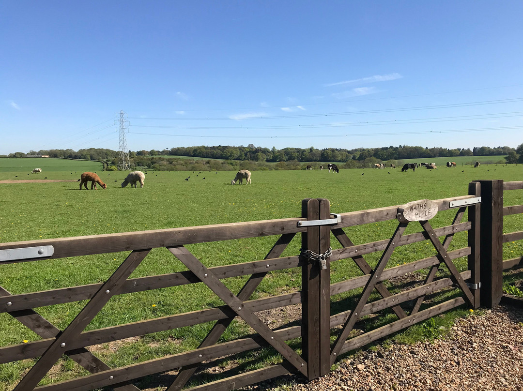 Nathan's Farm