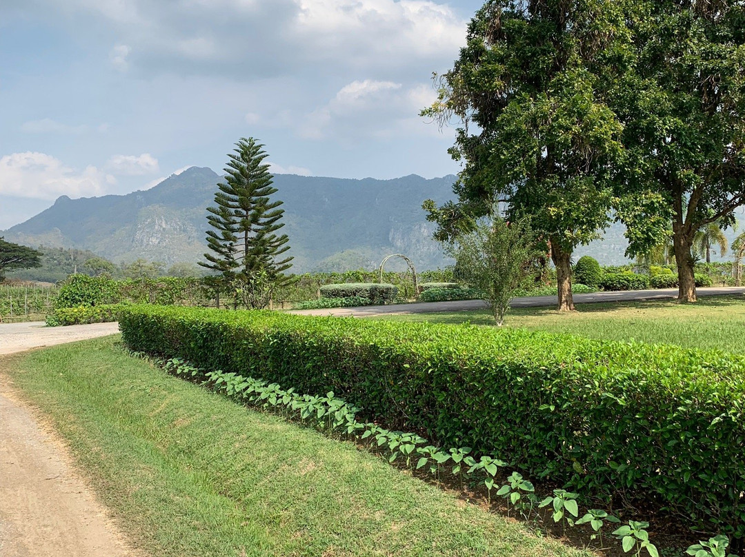 PB Valley Khao Yai Winery景点图片