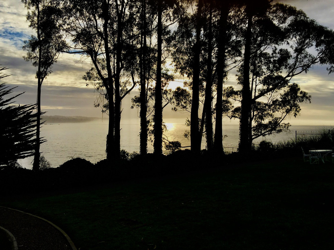 Monarch Cove Inn主图