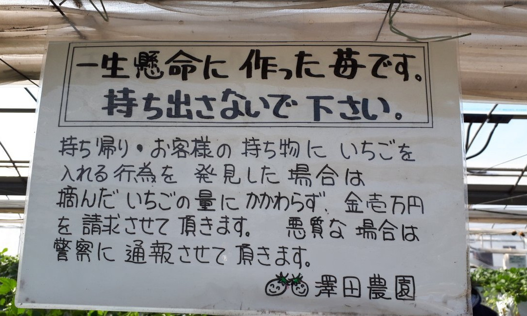 Sawada Farm-半田市必去景点