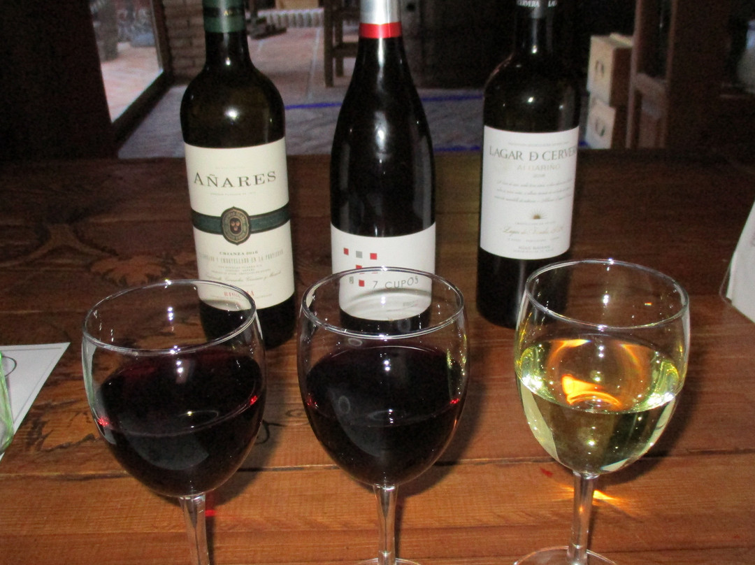 Museo del Vino de Mijas-米哈斯必去景点