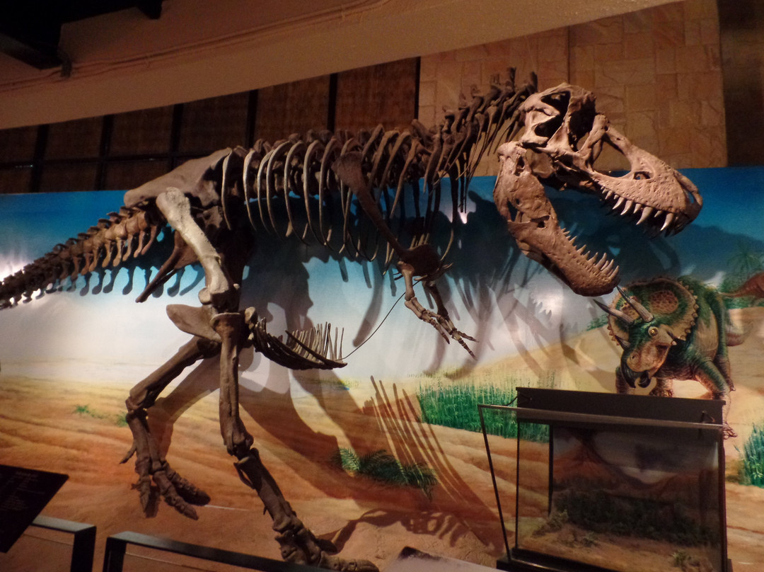 Kalasin Museum-加拉信必去景点