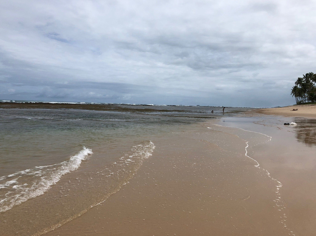 Praia do Paiva景点图片