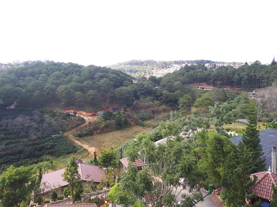 大叻禅谷酒店主图