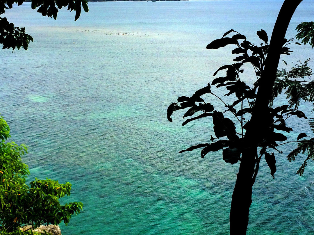 Nature's Eye Resort主图