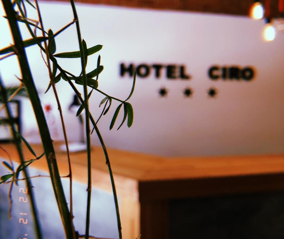 Hotel Ciro主图