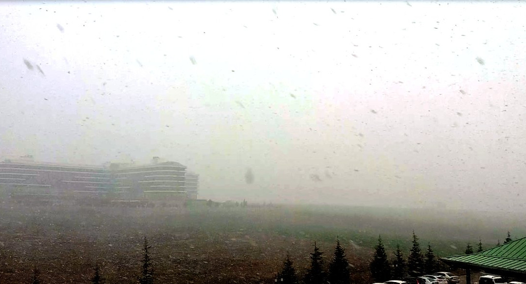 Safran Thermal Resort主图