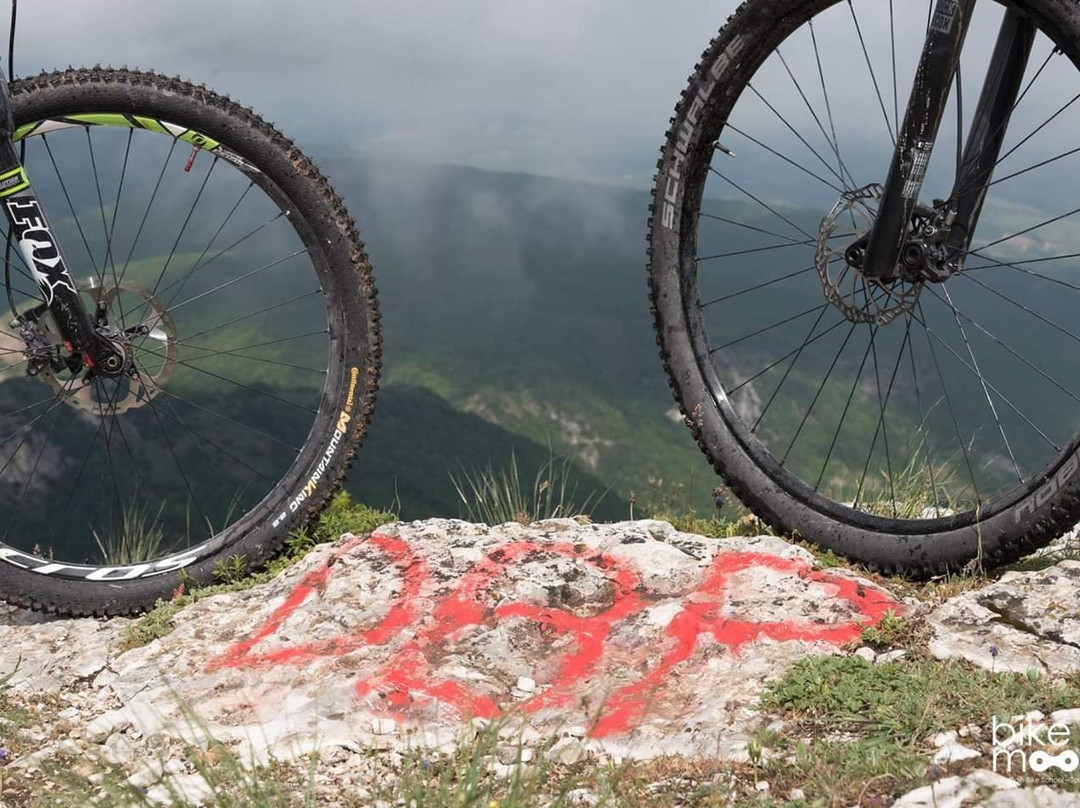 Doglio bike Park-Sassoferrato必去景点