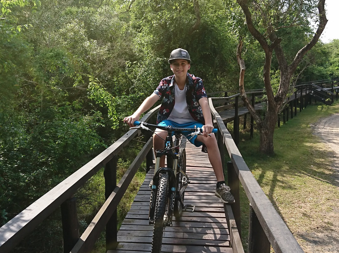 布什兰兹游戏洛奇饭店主图