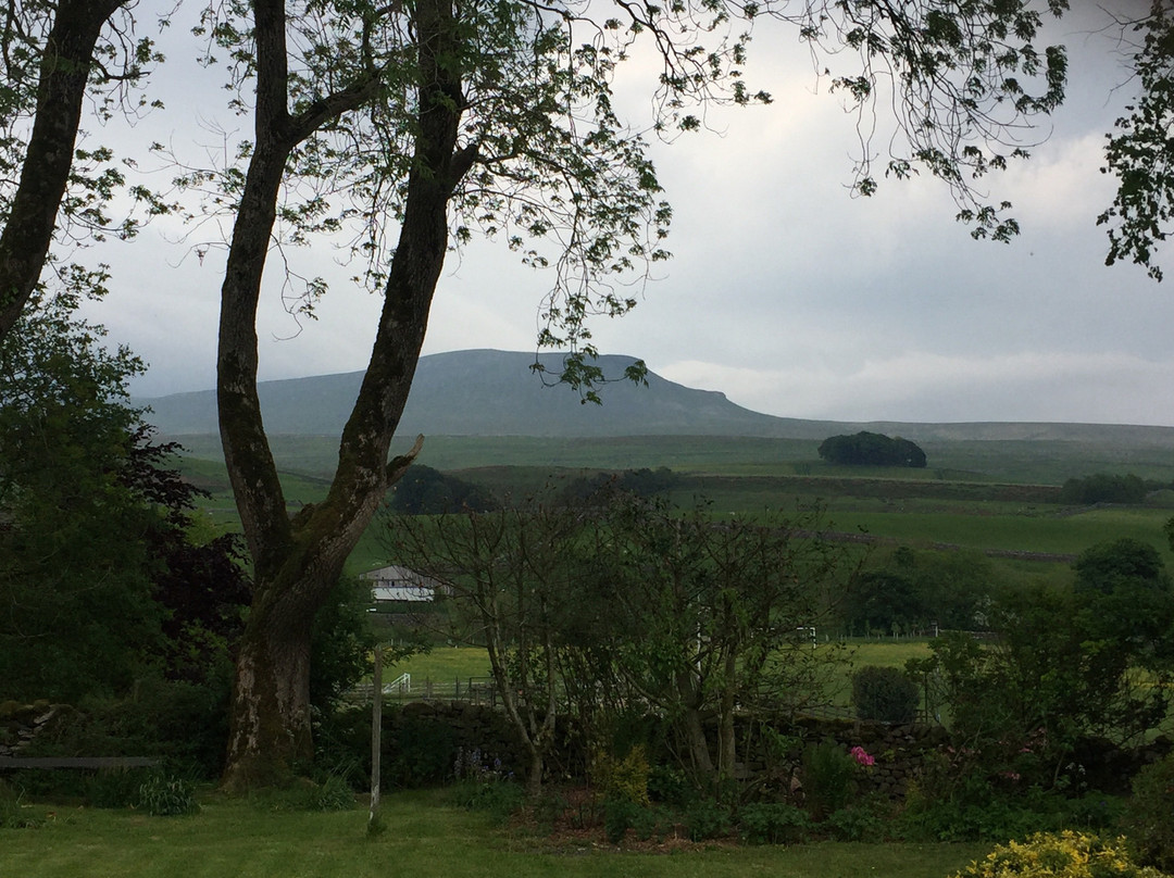 The Rowe House主图