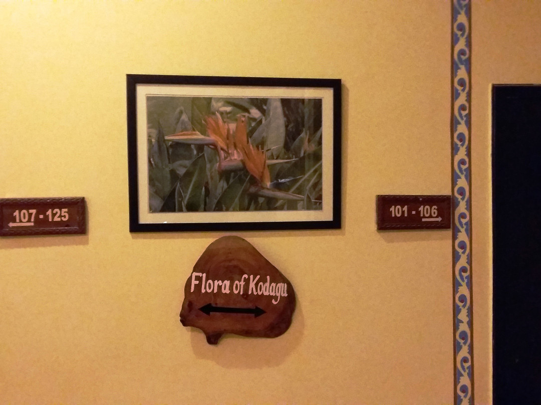 Hotel Coorg International主图