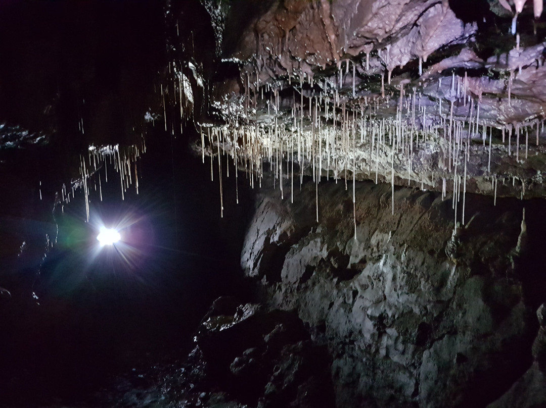 Wild Cave Tours-茉莉溪必去景点