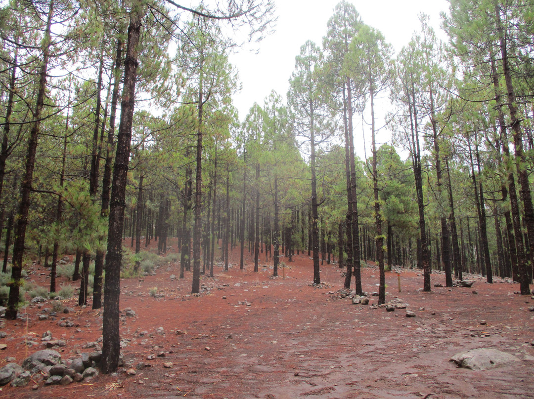 Llanos De La Pez景点图片