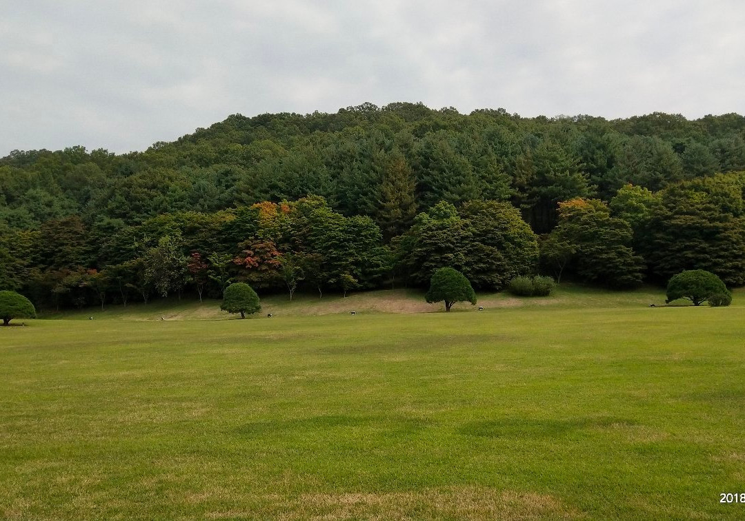 Cheongnamdae-清州市必去景点