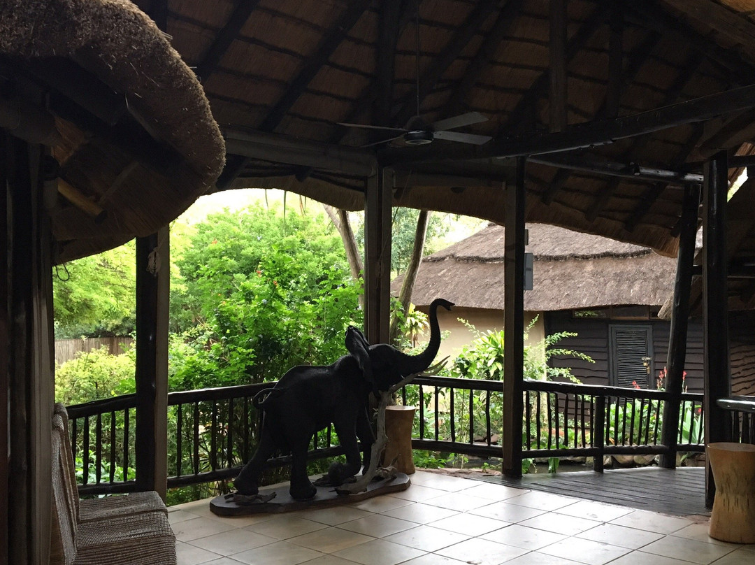 Ubizane Wildlife Reserve主图