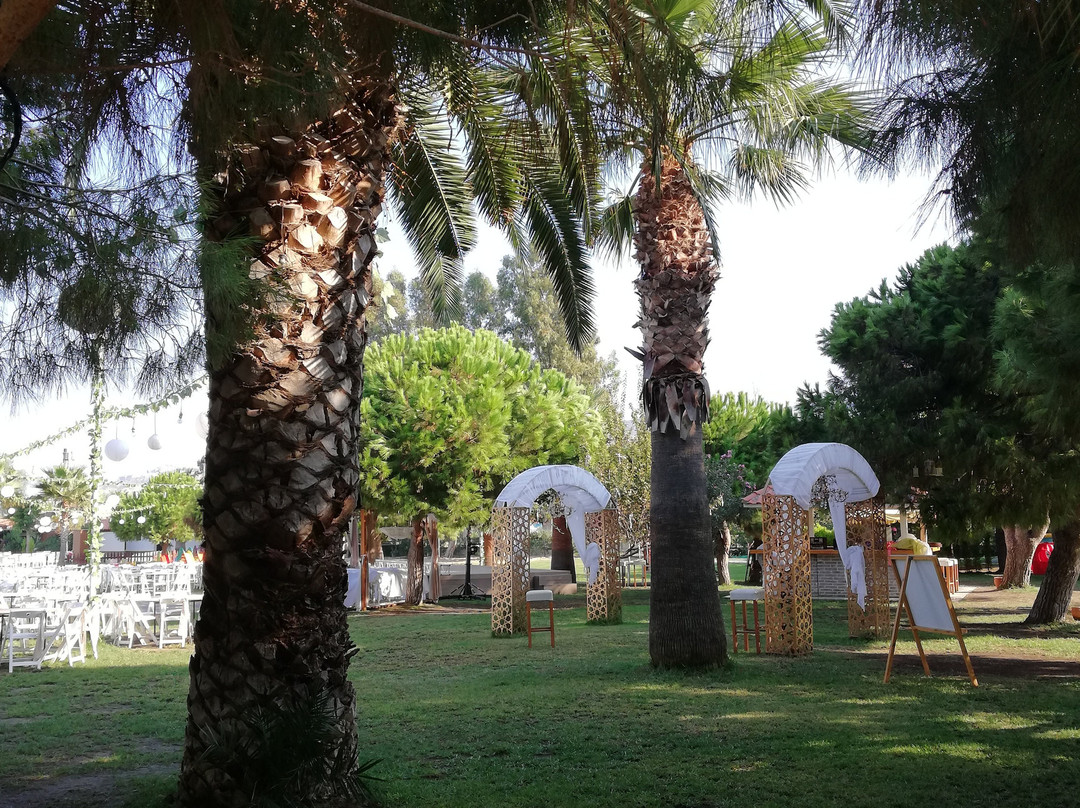 芭提汗海滩度假村及Spa - 全包主图