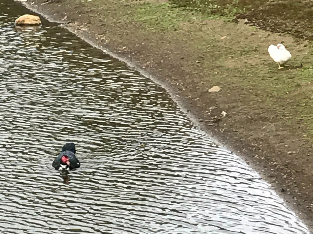 Crater Lake-Rawson必去景点