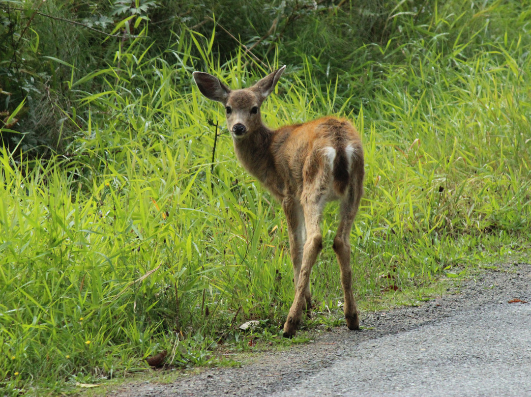 Pender Islands Museum-Pender Island必去景点