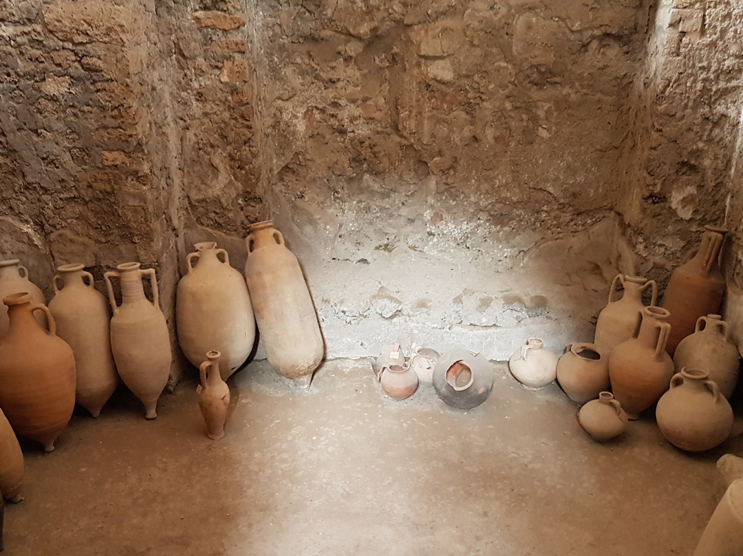 House of the Cryptoporticus-庞贝必去景点