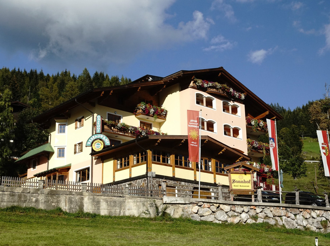 Hotel Sonnhof Am Hochkönig主图