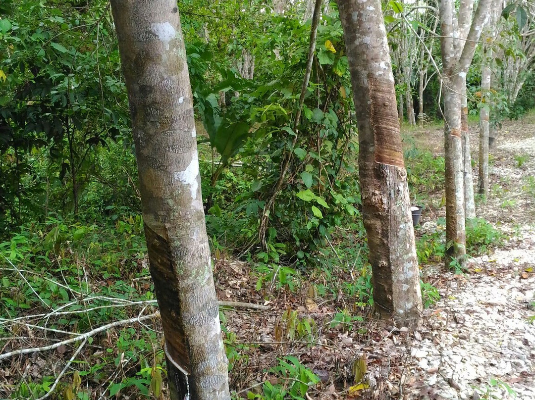 Zǐ Xia Dong-话望生必去景点