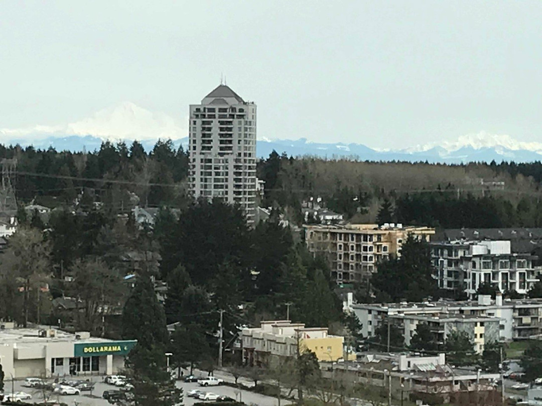 Civic Hotel, Autograph Collection主图