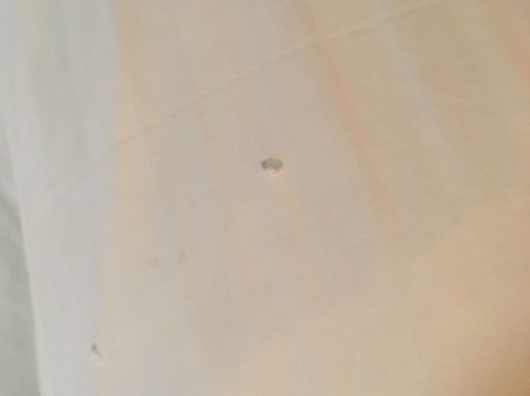 体育之家大酒店主图