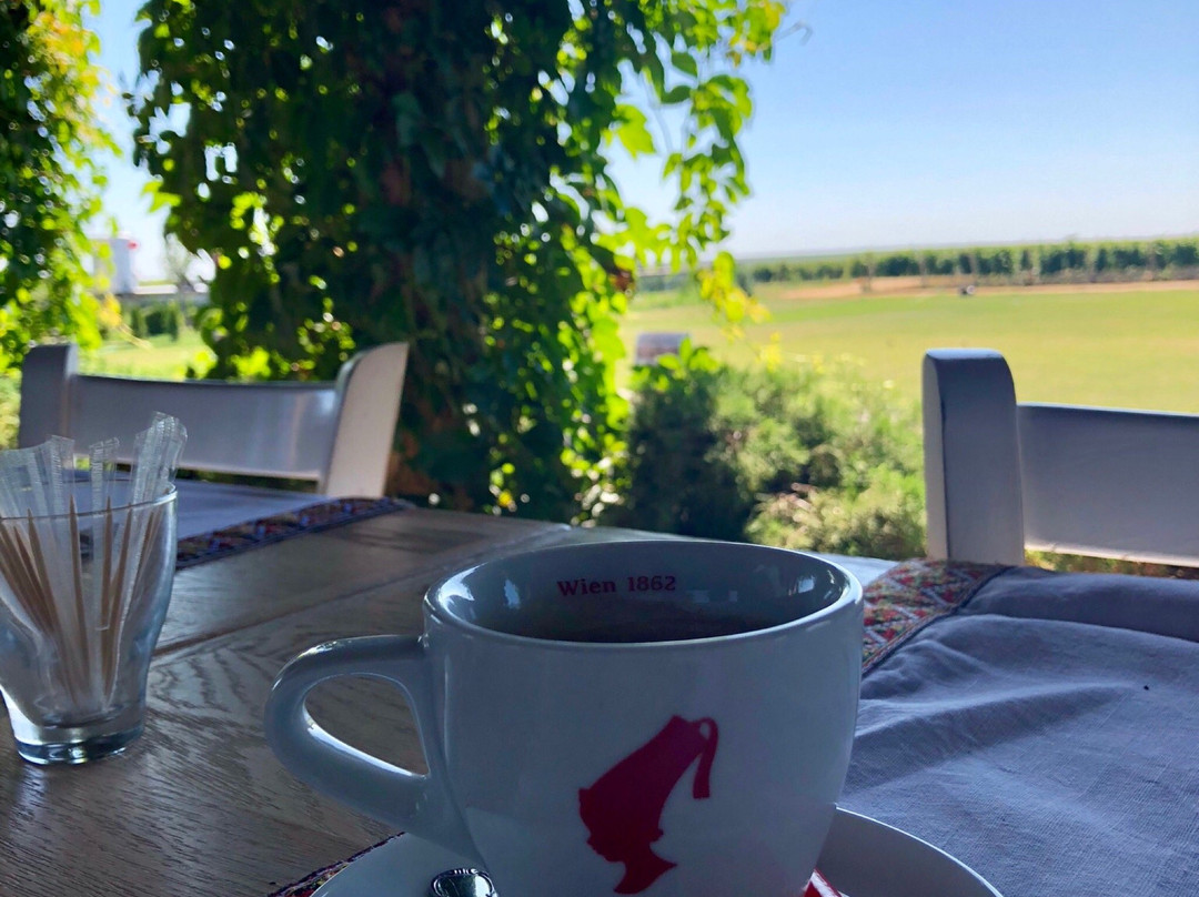 Et Cetera Winery-Crocmaz必去景点