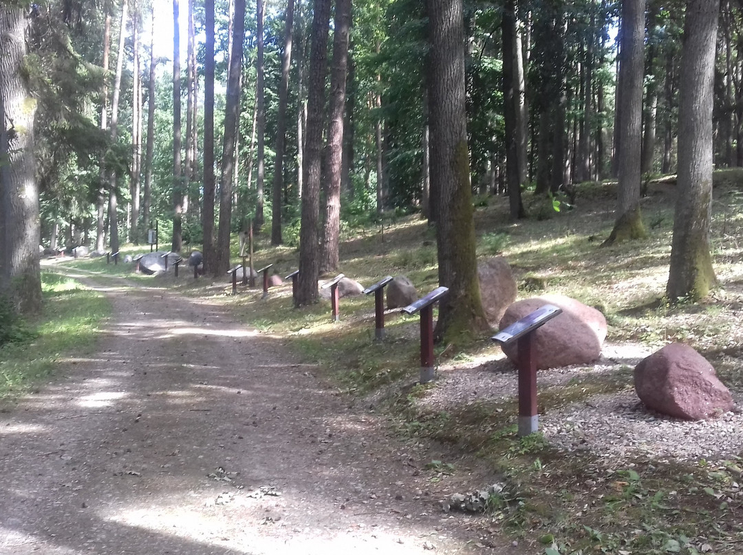 Lesne Arboretum Warmii i Mazur景点图片