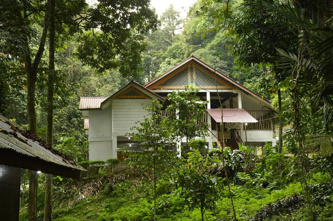 Leuser Guesthouse