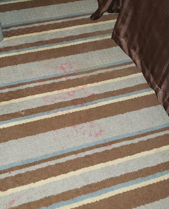 Super 8 By Wyndham Port Arthur/Nederland Area主图