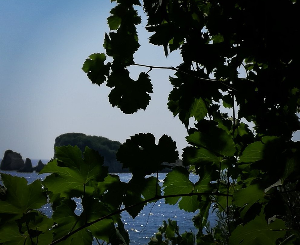 Bar酒店住宿-Pansion Vongola