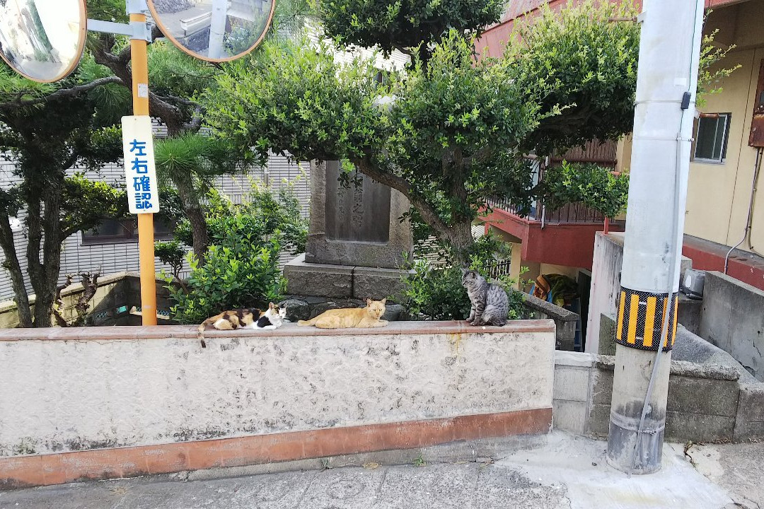 Ibuki Island景点图片