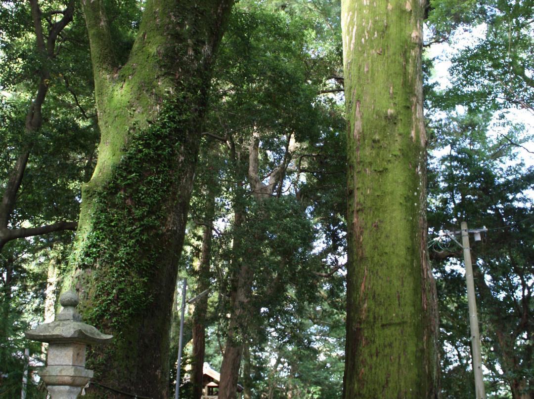 Asuka Shrine景点图片