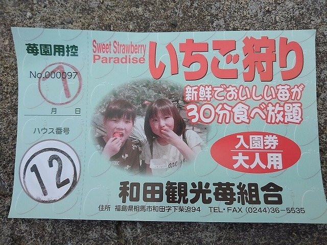 Wadakanko Strawberry Association-相马市必去景点